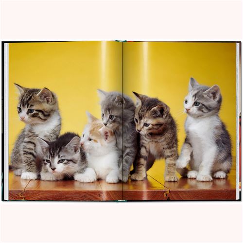 Walter Chandoha. Cats