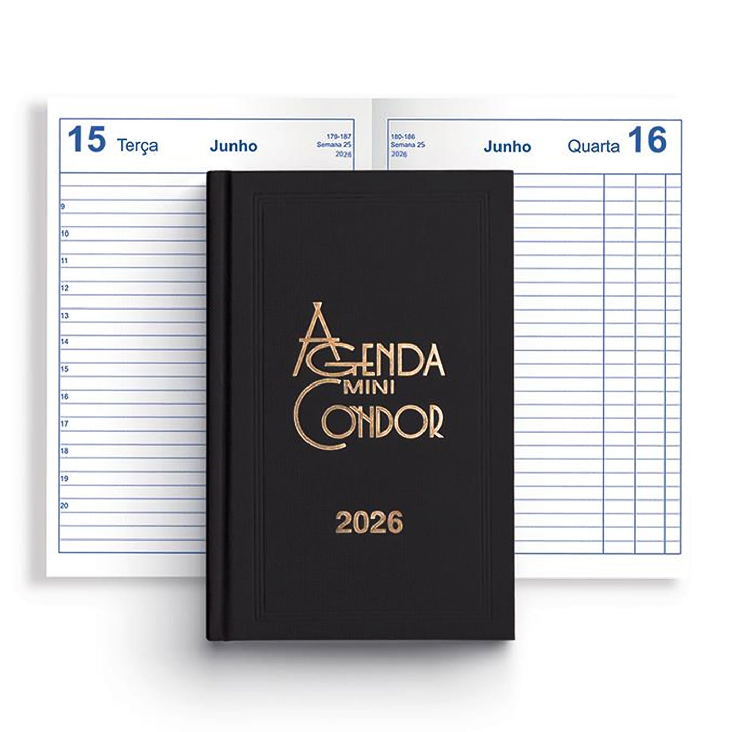 Agenda mini condor 2026