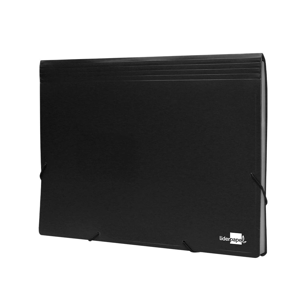 Carpeta Extensible 13 Divisores 