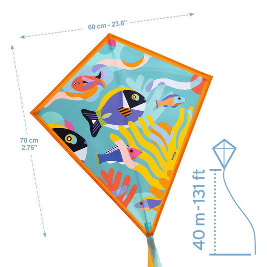 Swim Essentials | Papagaio | Ocean