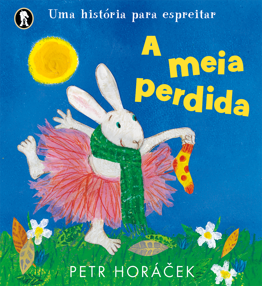 A meia perdida